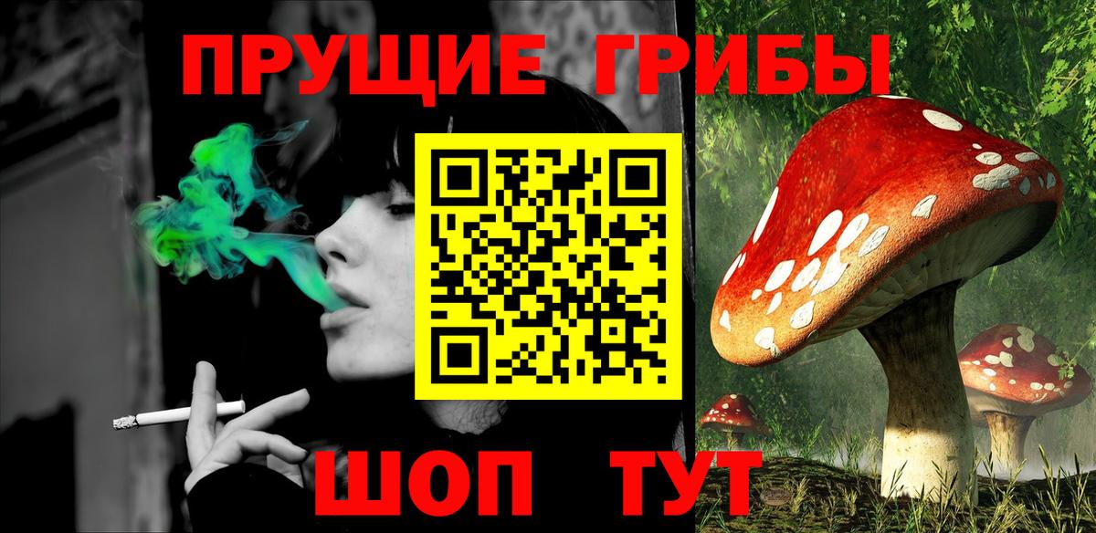 Артёмовский  Псилоцибиновые грибы MAGIC MUSHROOMS  Вход с VPN 